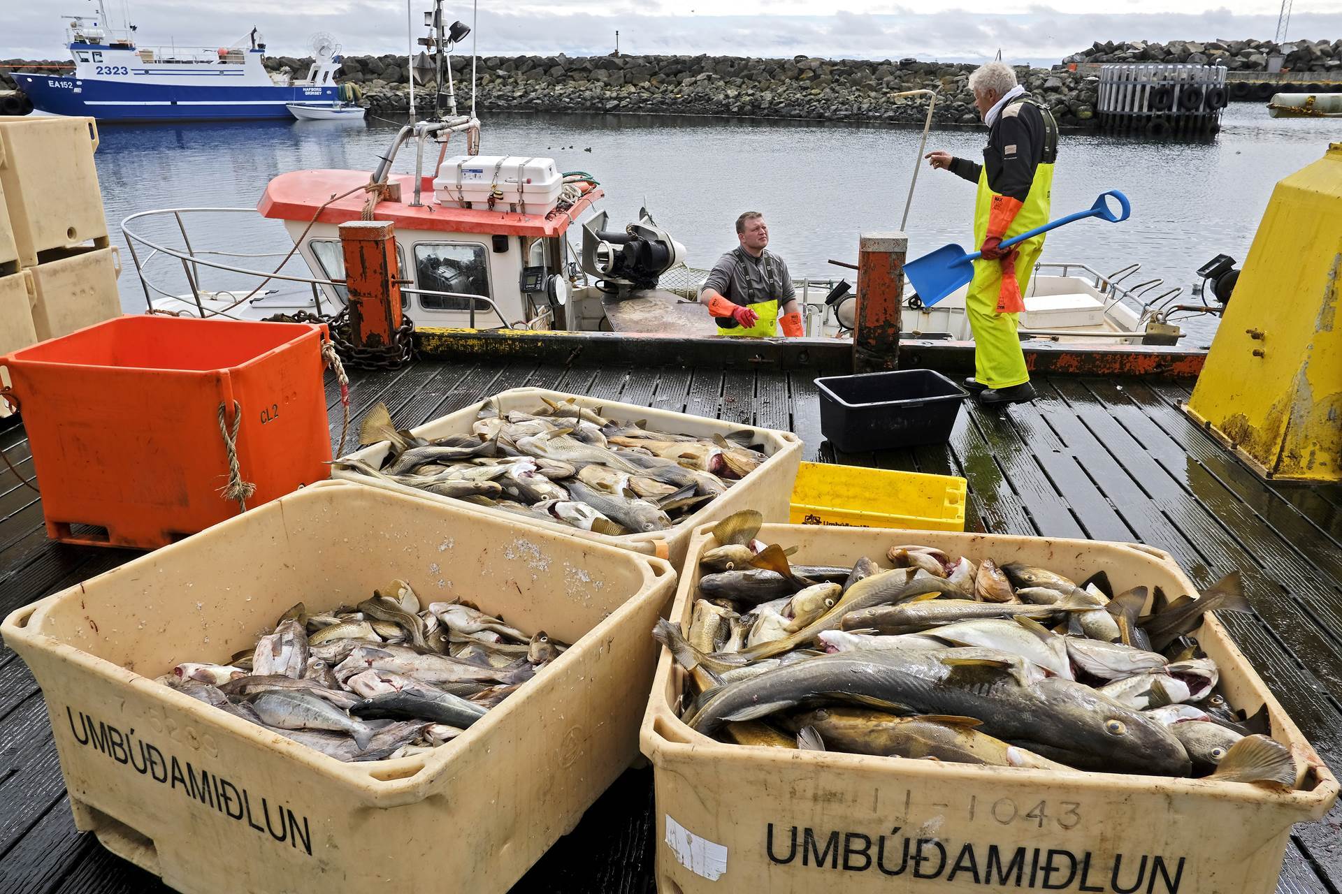 Aflaheimildir til strandveiða auknar um 2.000 tonn  - mynd