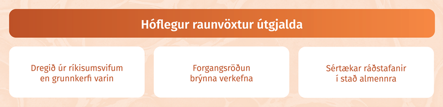 Hóflögur raunvöxtur útgjalda