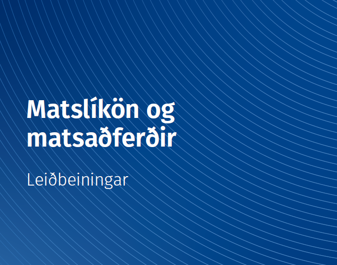 Leiðbeiningar um matslíkön og matsaðferðir í opinberum innkaupum - mynd